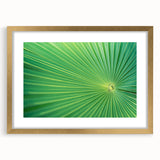 Extra large abstract art print of textured leaves in gold frame, using earth tones, ideal for living room decor.