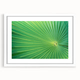Abstract art print featuring close-up leaves design in green and yellow tones, framed with a white mat.
