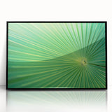 Large abstract wall art of leaves in muted green tones, framed in black acrylic, suitable for modern art wall decor.