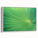 Extra large framed canvas of vintage poster art featuring close-up colorful leaves on a black background.
