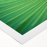 Art deco poster featuring close-up of green leaves on a rolled canvas, suitable for dining room decor.