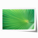 Close-up of green leaves on a rolled canvas print, with a naturalistic style.