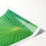 Extra large wall art featuring a line art floral design in black and white on rolled canvas.