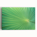 Close-up of leaves in black and white on stretched canvas, ideal for kitchen wall art.