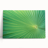 Black and white close-up photo of leaves on stretched canvas, suitable for kitchen wall art or bedroom decor.