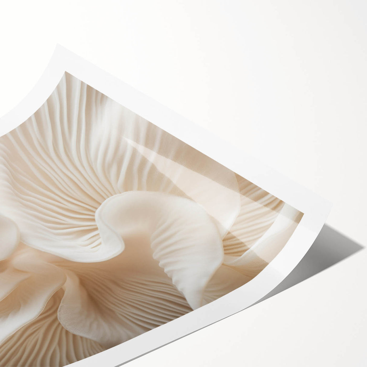 Extra large rolled print featuring line art flowers in black on white, ideal for large living room wall art.