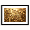 Extra large abstract art print featuring a close-up of colorful leaves, textured finish, framed in black.