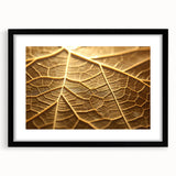 Extra large abstract art print featuring a close-up of colorful leaves, textured finish, framed in black.