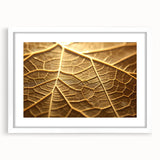 Abstract art print of close-up leaves in muted green and white hues, framed with a white mat.