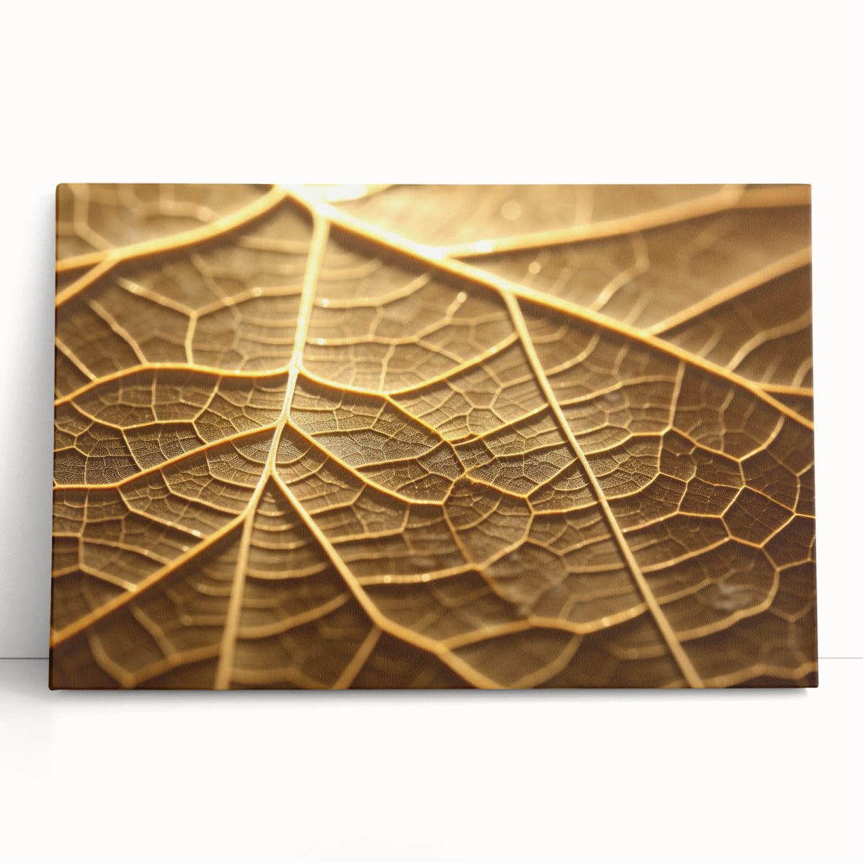 Close-up of leaves in black and white on stretched canvas, ideal for kitchen wall art.