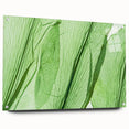 Close-up of leaves in green and yellow tones on acrylic glass, ideal for bedroom or dining room wall art.