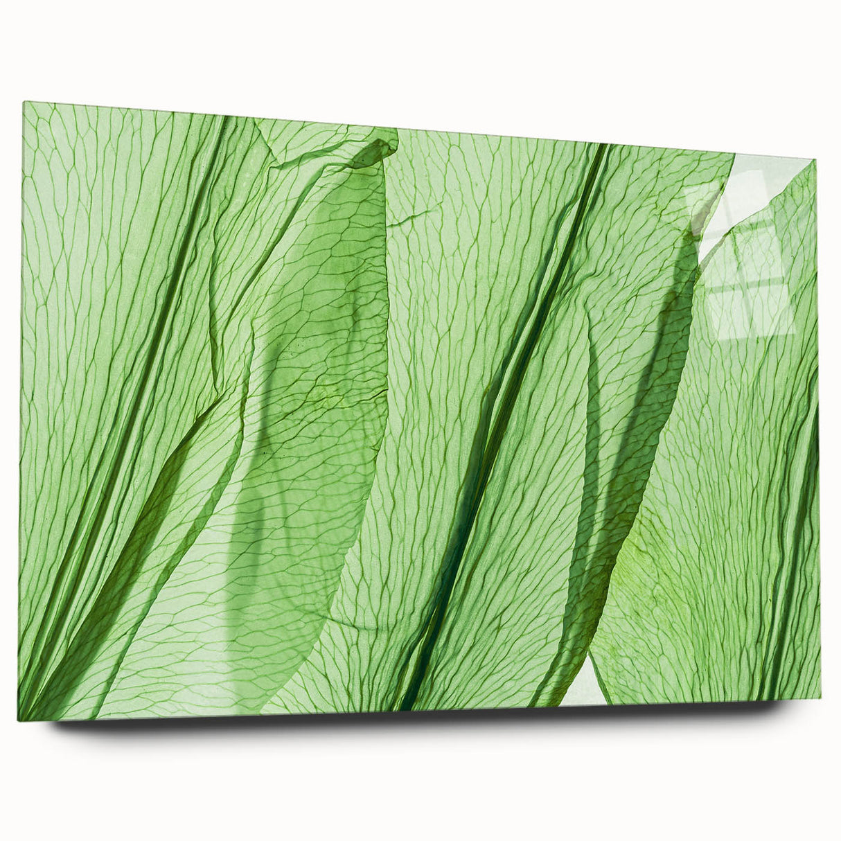 Close-up of green leaves in abstract design on large acrylic glass, suitable for bedroom or dining room art.