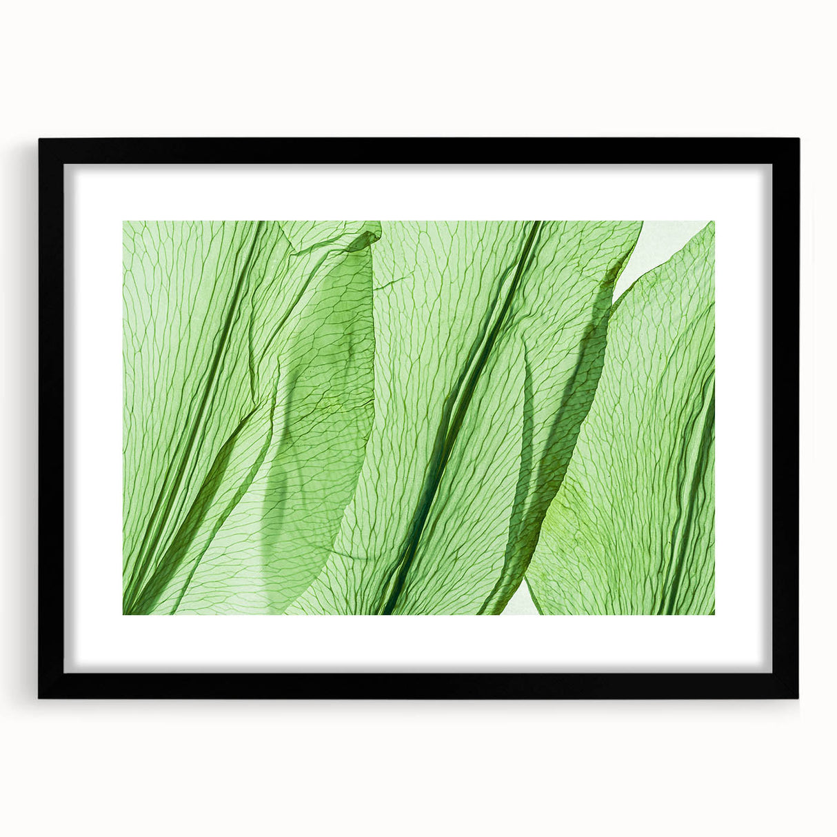Extra large abstract art print featuring textured, colorful leaves on a canvas, framed in black, ideal for living room decor.