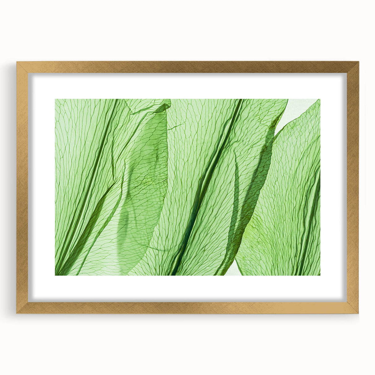 Extra large abstract art print featuring close-up leaves in textured green and gold, framed with a gold mat.