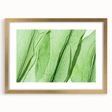 Extra large abstract art print featuring close-up leaves in textured green and gold, framed with a gold mat.