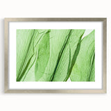 Textured art print featuring close-up of green leaves, in a silver frame with mat, suited for a bedroom.
