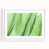 Abstract art print of close-up leaves in muted green tones on a white framed mat, ideal for bedroom or dining room decor.