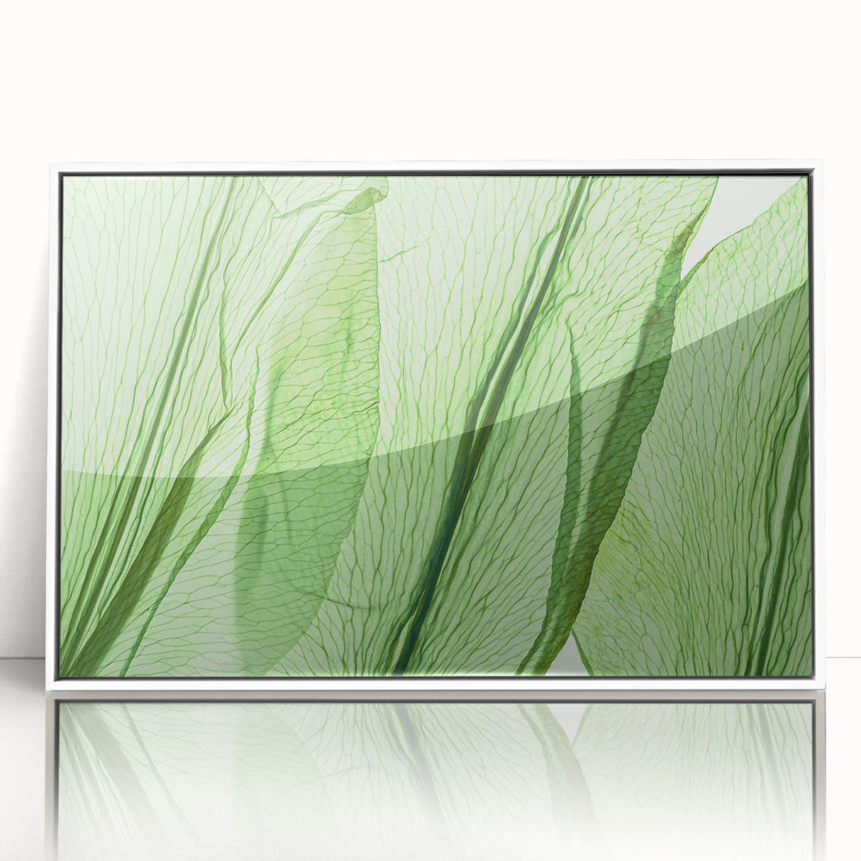 Acrylic print of close-up leaves in art deco style with a white frame, suited for modern nursery decor.