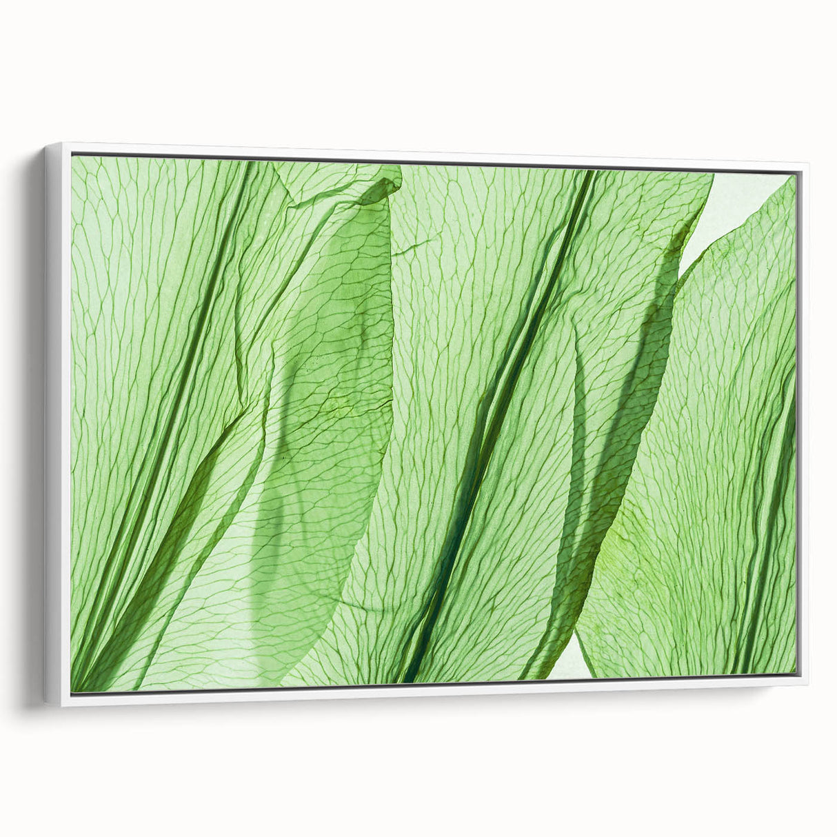 Vintage poster art of colorful leaves on a white framed canvas, ideal for living room decor.