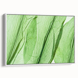 Vintage poster art of colorful leaves on a white framed canvas, ideal for living room decor.