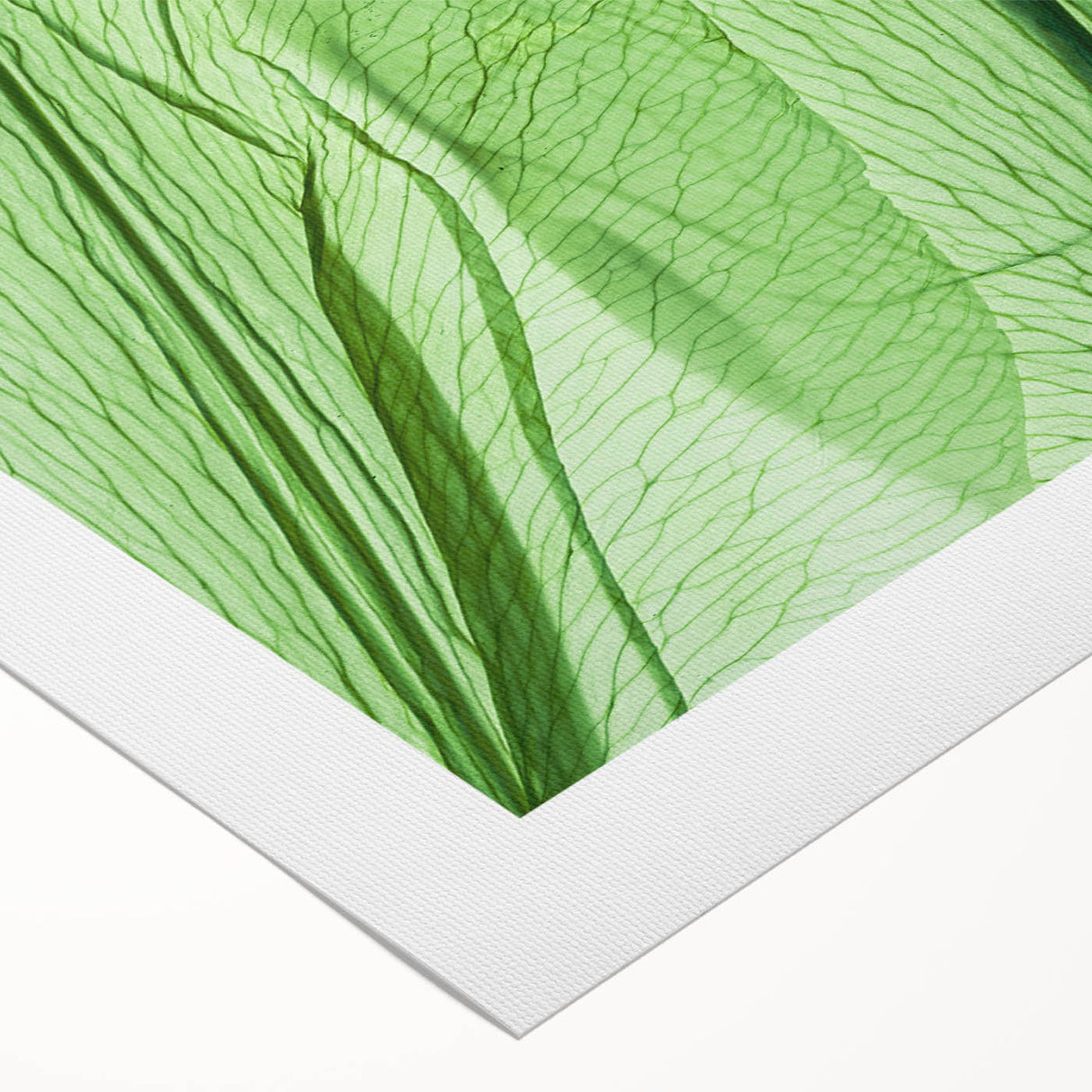 Art deco poster featuring close-up of green leaves on a rolled canvas, suitable for dining room or bathroom wall art.