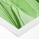Art deco poster featuring close-up of green leaves on a rolled canvas, suitable for dining room or bathroom wall art.