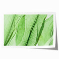 Close-up of green leaves in a minimalist style on a rolled canvas print, suitable for dining room or bathroom decor.
