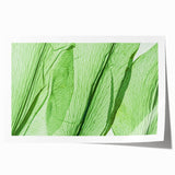 Close-up of green leaves in a minimalist style on a rolled canvas print, suitable for dining room or bathroom decor.
