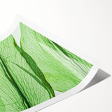 Extra large wall art featuring a close-up of leaves in line art style, rendered in black on white.