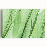 Close-up of leaves in black and white on stretched canvas, ideal for kitchen wall art.