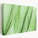 Close-up image of green leaves on a stretched canvas, ideal for kitchen wall art.