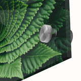 Close-up of leaves in muted green tones on acrylic glass, ideal for dining room art in a mid-century modernist style.