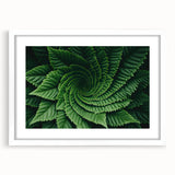 Abstract art print of close-up leaves in muted green and white tones, framed with a white mat.