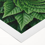 Art deco poster featuring close-up of green leaves on a rolled canvas, suitable for dining room or bathroom wall art.