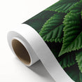 Art deco poster featuring close-up of green leaves on rolled canvas.