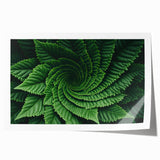 Extra large rolled print of close-up leaves in green and yellow tones, ideal for art wall dining room.