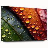 Close-up of leaves in muted green and brown tones on acrylic glass, suitable for bedroom or dining room decor.