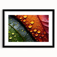 Extra large abstract art print of colorful, textured leaves, framed in black, ideal for living room decor.