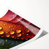 Extra large wall art featuring line art flowers on a rolled print, using a monochrome palette.