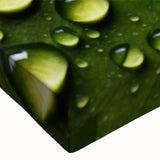 Black and white close-up photo of leaves on a large stretched canvas, suitable for bedroom wall decor.