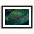 Abstract art print featuring textured, colorful leaves on a large black-framed canvas, ideal for living room decor.