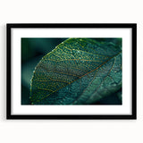 Abstract art print featuring textured, colorful leaves on a large black-framed canvas, ideal for living room decor.