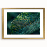Extra large abstract art print featuring textured leaves in muted green and gold, framed in gold.