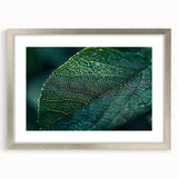 Textured art print of abstract leaves in muted green and brown tones, framed with a silver mat, suitable for bedroom decor.