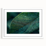 Abstract art print featuring close-up green leaves, in a white frame with mat, suitable for bedroom or dining room decor.