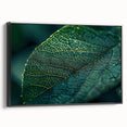 Black and white close-up of leaves on a framed canvas, ideal for bedroom wall decor.
