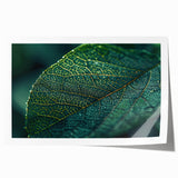 Close-up of green leaves on a rolled print, with vibrant green tones.