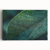 Black and white close-up photo of leaves on a large stretched canvas, ideal for kitchen wall art.