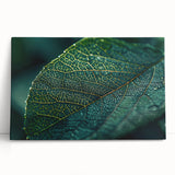 Black and white close-up photo of leaves on stretched canvas, suitable as kitchen wall art or for bedroom ambiance.