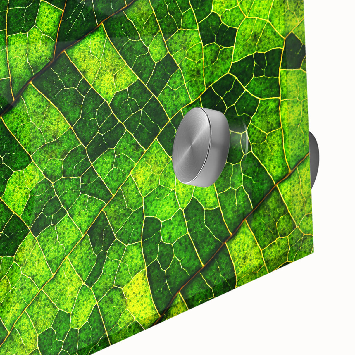 Mid-century modernist large abstract wall art of leaves in muted green tones on acrylic glass, suitable for dining room art.